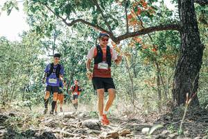 BIB: 
                            <button type="button" onclick="openModal(26100668)" class="btn btn-primary btn-sm float-right btn-popup" data-toggle="modal" data-target=".modal-high-quality">
                        <i class="fas fa-shopping-cart"></i> Add to Cart
                    </button>
                                            <button type="button" onclick="isThisMe(26100668, true)" class="btn btn-success btn-sm float-right btn-popup btn-isme hidden" data-toggle="tooltip" data-placement="bottom" title="นี่คือรูปของคุณใช่ไหม คลิกที่นี่เพื่อเอาเข้าอัลบั้ม">
                        <i class="fas fa-plus"></i> Add to album
                    </button>
                    <button type="button" onclick="isThisMe(26100668, false)" class="btn btn-warning btn-sm float-right btn-popup btn-isnotme hidden">
                        <i class="fas fa-ban"></i> Remove from album
                    </button>